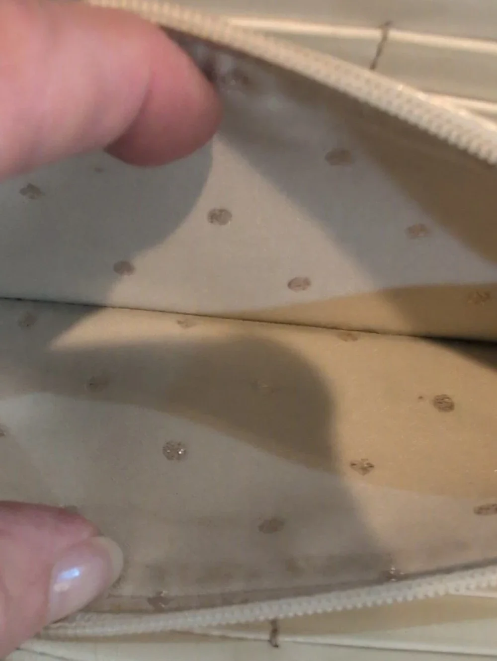 Kate Spade Orange And Cream Long Wallet